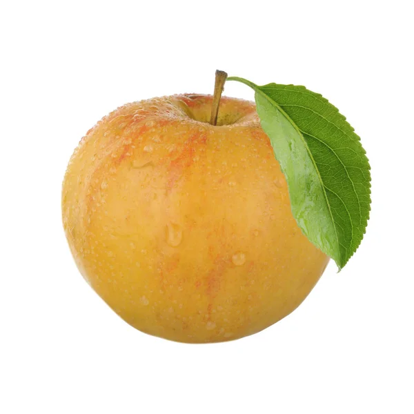 Fresh Apple Isolated White Background — Stock Photo, Image