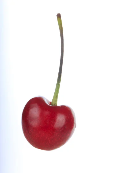 孤立在白色背景上的单红樱桃 — 图库照片