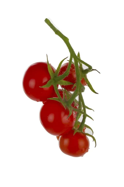 Tomates Vermelhos Maduros Isolados Sobre Fundo Branco — Fotografia de Stock