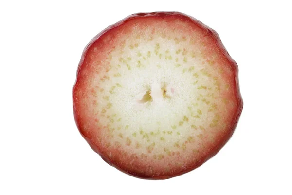 Närbild Pommerac Skott Malajiska Äpple Isolerade Vitt — Stockfoto