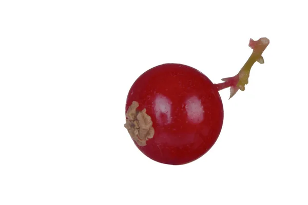 Närbild Röda Vinbär Isolerade Vit Bakgrund — Stockfoto