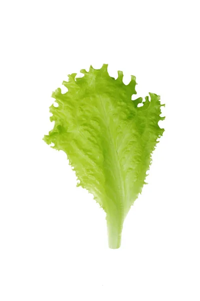 Closeup Zeleného Salátu Izolovaného Bílém Pozadí — Stock fotografie
