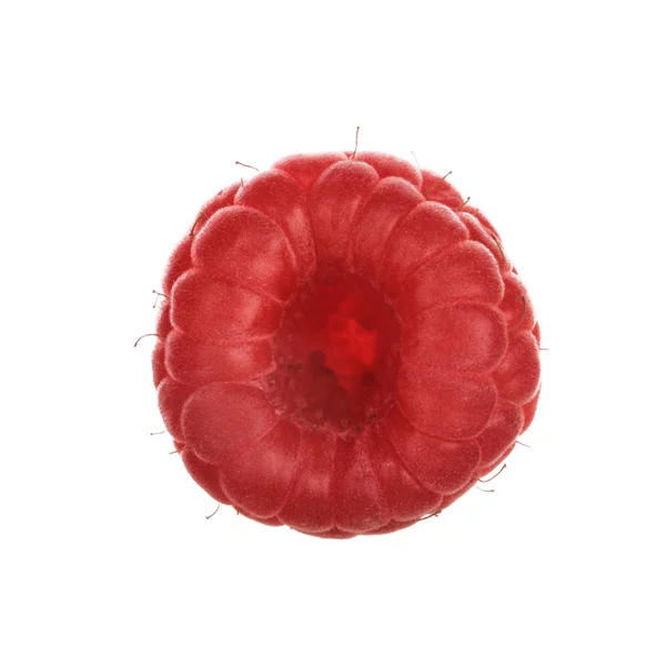 Framboise Rouge Mûre Isolée Sur Fond Blanc — Photo