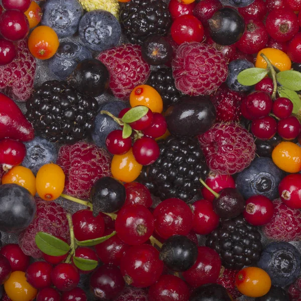 Variety Fresh Berries Healthy Eating Concept — Stock Photo, Image