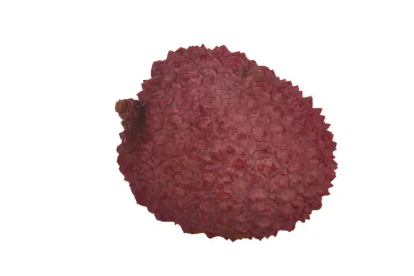 Closeup Lychee Shot Tropical Fruit — Stock Photo, Image