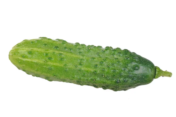 Ruwe Rijpe Groene Komkommer Geïsoleerd Witte Achtergrond — Stockfoto