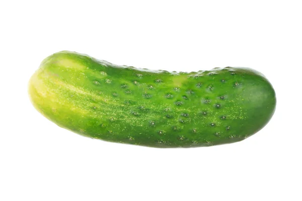 在白色背景查出的未加工的成熟的绿色黄瓜 — 图库照片