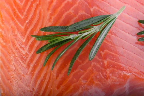 Closeup Salmon Rosemary Food Background — Stock Photo, Image