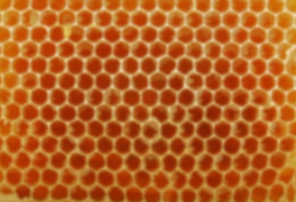ハニカム蜂蜜 健康的な食事の概念の完全 — ストック写真