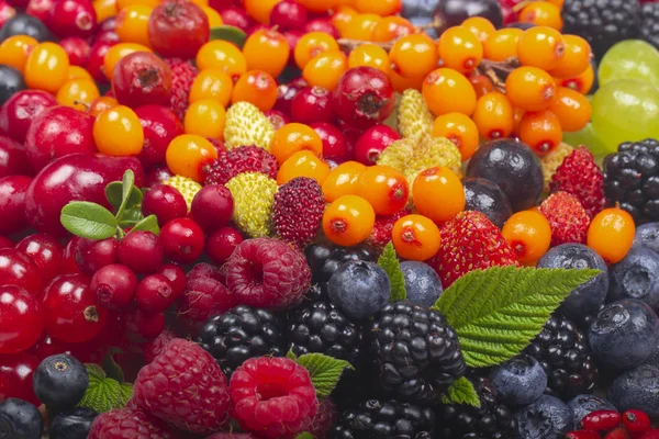 Variety Fresh Berries Healthy Eating Concept — Stock Photo, Image