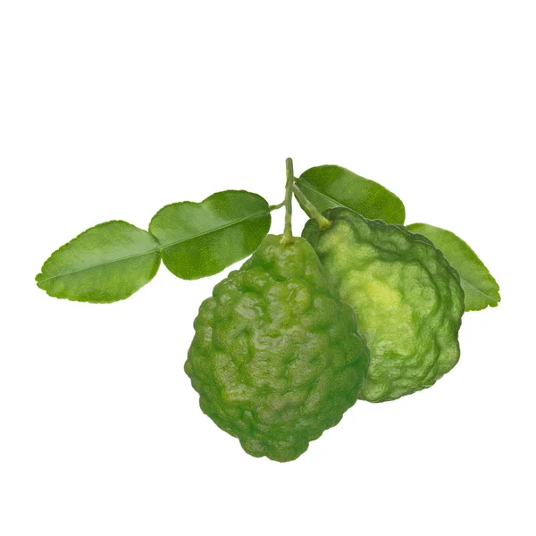 Kaffir Closeup, yeşil narenciye atış