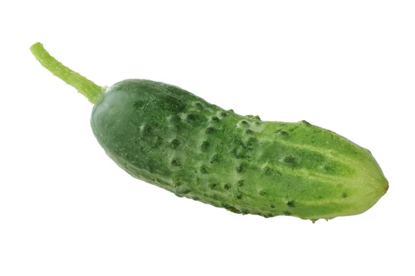 Ruwe Rijpe Groene Komkommer Geïsoleerd Witte Achtergrond — Stockfoto