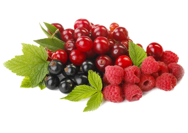 Closeup Assorted Fruits Berries — Stock Photo, Image