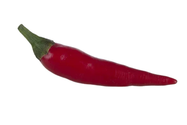 Piment Cayenne Isolé Sur Fond Blanc — Photo