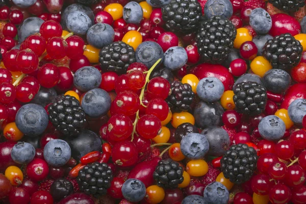 Sokféle Friss Bogyós Gyümölcsök Egészséges Táplálkozási Koncepció — Stock Fotó