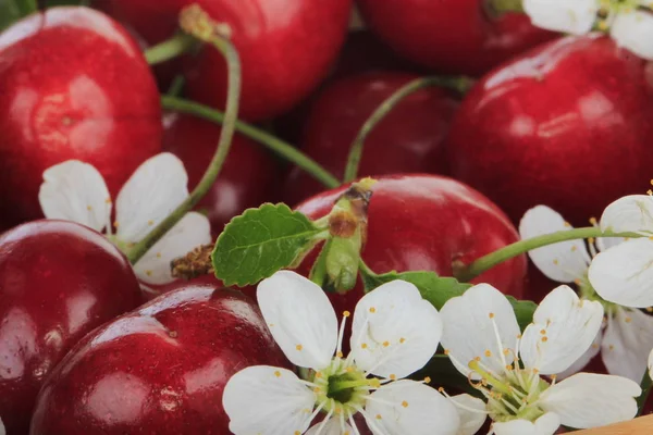 Nahaufnahme Eines Haufens Frischer Roter Kirschen — Stockfoto