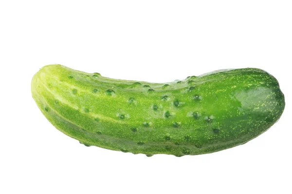 Ham Olgun Yeşil Salatalık Beyaz Arka Plan Üzerinde Izole — Stok fotoğraf