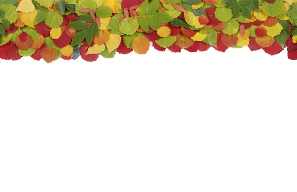 Kolorowa Rama Wykonana Jesiennych Liści — Zdjęcie stockowe