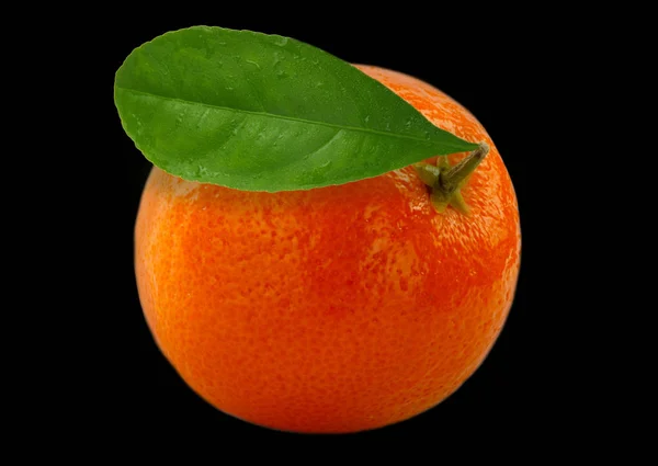 Mandarine Svart Bakgrund — Stockfoto