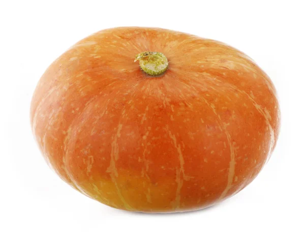 Closeup Pumpkin Isolated White Background — Stock Photo, Image