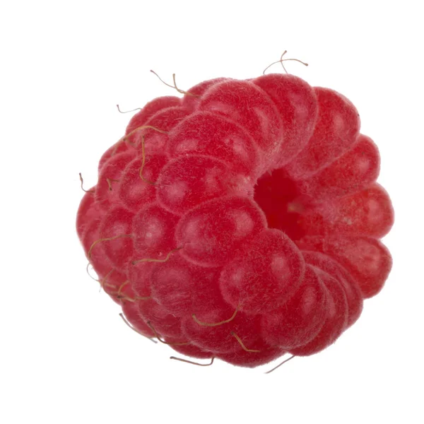 Ripe Sweet Raspberry Isolated White Background — Stock Photo, Image