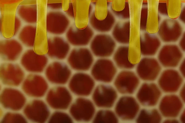 Closeup Shot Natural Honey Food Background — Stock Photo, Image