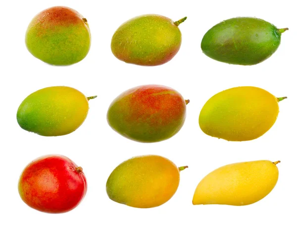 Készlet Ból Mangos Elszigetelt Fehér Background — Stock Fotó