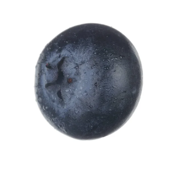 Closeup Blueberry Isolated White Background — Stock Photo, Image