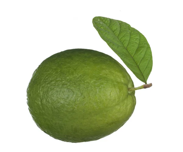 Closeup Guava Isolated White Background — Stock Photo, Image