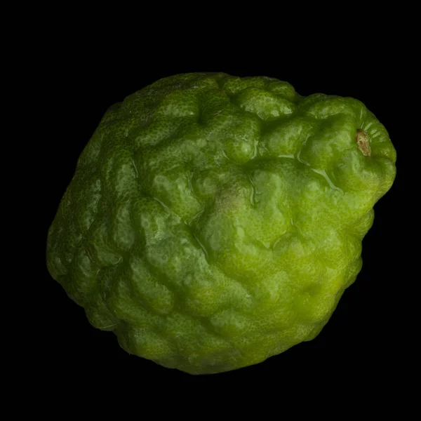 Zbliżenie Kaffir Strzał Zielonych Owoców Cytrusowych — Zdjęcie stockowe
