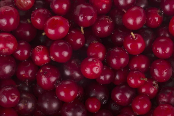 Closeup Cow Berries Pattern Background — Stock Photo, Image