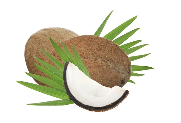 Kokosnüsse Mit Blättern Isoliert Auf Weißem Hintergrund — Stockfoto