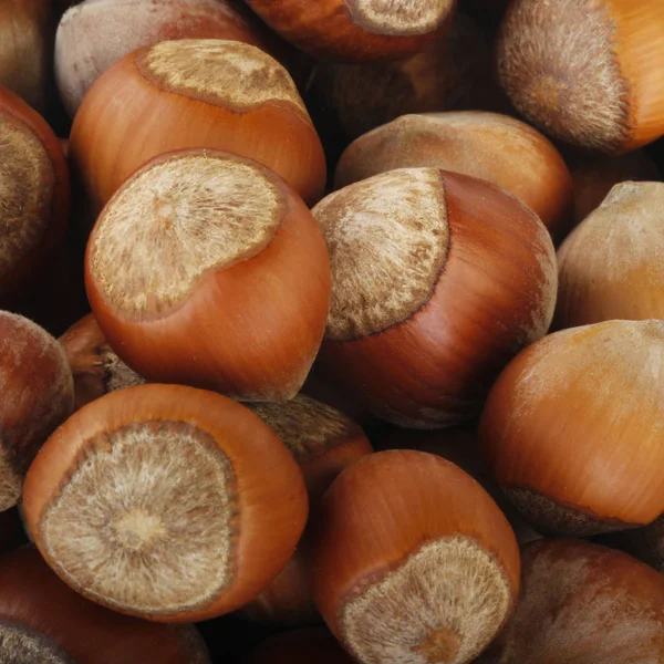 Closeup of nuts, food background