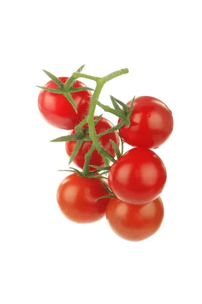 Rote Reife Tomaten Isoliert Auf Weißem Hintergrund — Stockfoto