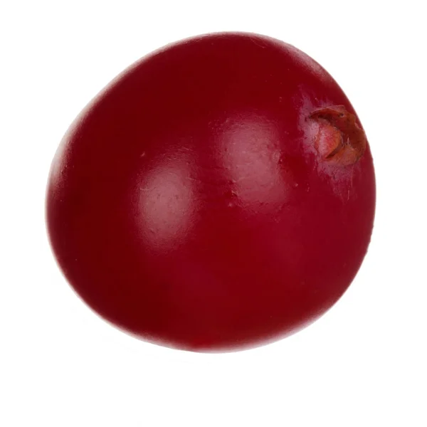 Close Van Cranberry Geïsoleerd Witte Achtergrond — Stockfoto