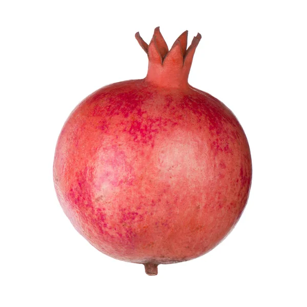 Pomagranate — 스톡 사진