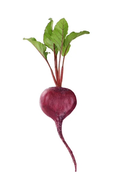 Rote Bete Gemüse Isoliert Auf Weißem Hintergrund — Stockfoto