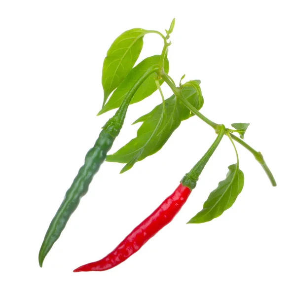 Cayenne Chili Peppers Isolerad Vit Bakgrund — Stockfoto