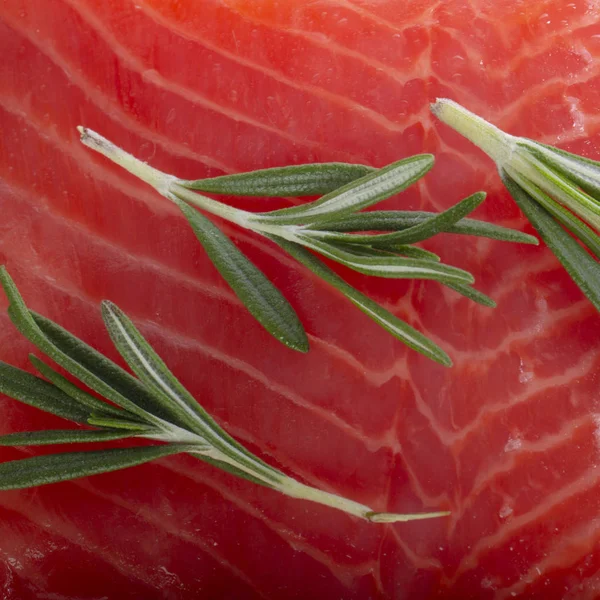 Closeup Salmon Rosemary Food Background — Stock Photo, Image