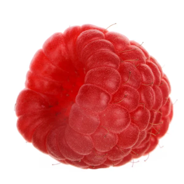 白い背景に隔離された赤いラズベリー — ストック写真