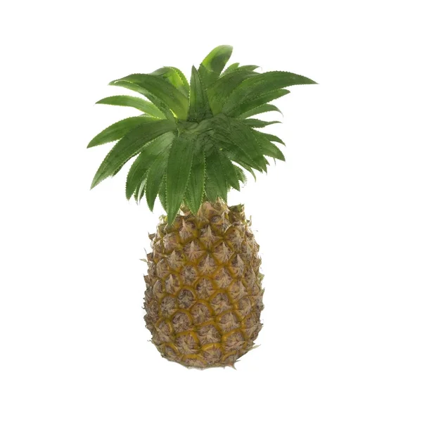 Närbild Ananas Isolerad Vit Bakgrund — Stockfoto