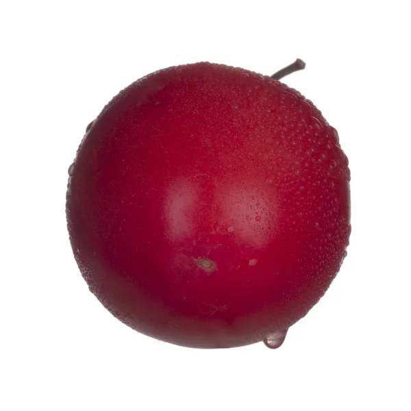 Tamarillo Fresco Aislado Sobre Fondo Blanco — Foto de Stock