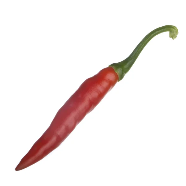 Cayenne Chili Pepper Isolated White Background — Stock Photo, Image