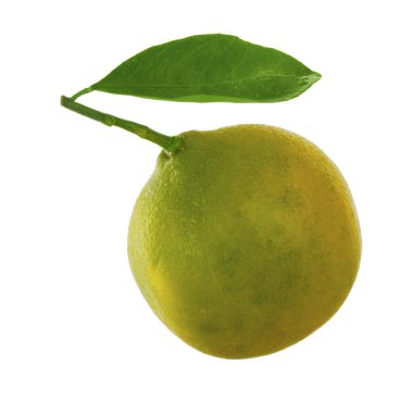 Mandarin beyaz arkaplanda izole edildi