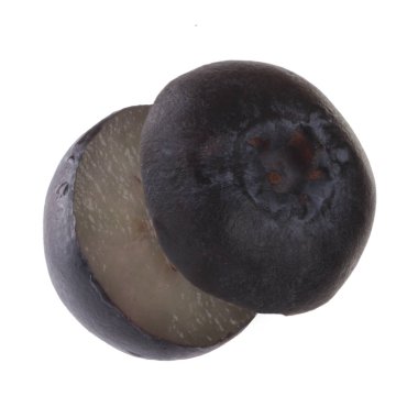 Beyaz arka planda izole yaban mersini yakın çekim 