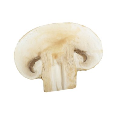 Beyaz arka planda izole mantar Yakın çekim 