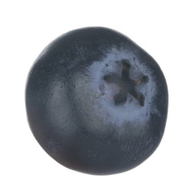 Beyaz arka planda izole yaban mersini yakın çekim 