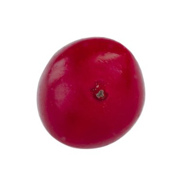 Beyaz arka plan üzerinde izole guelder closeup