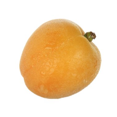 Beyaz arka planda izole edilmiş olgun kayısı.