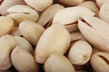 Beyaz arka planda izole antep fıstığının yakın çekim